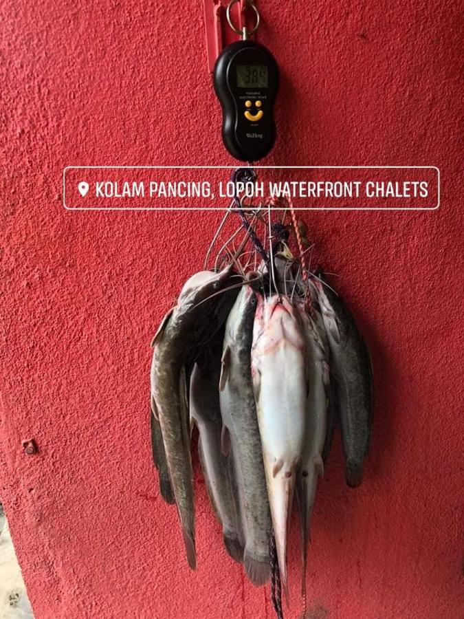 فيلا هولو لانجاتفي Lopoh Waterfront Budget Chalets المظهر الخارجي الصورة