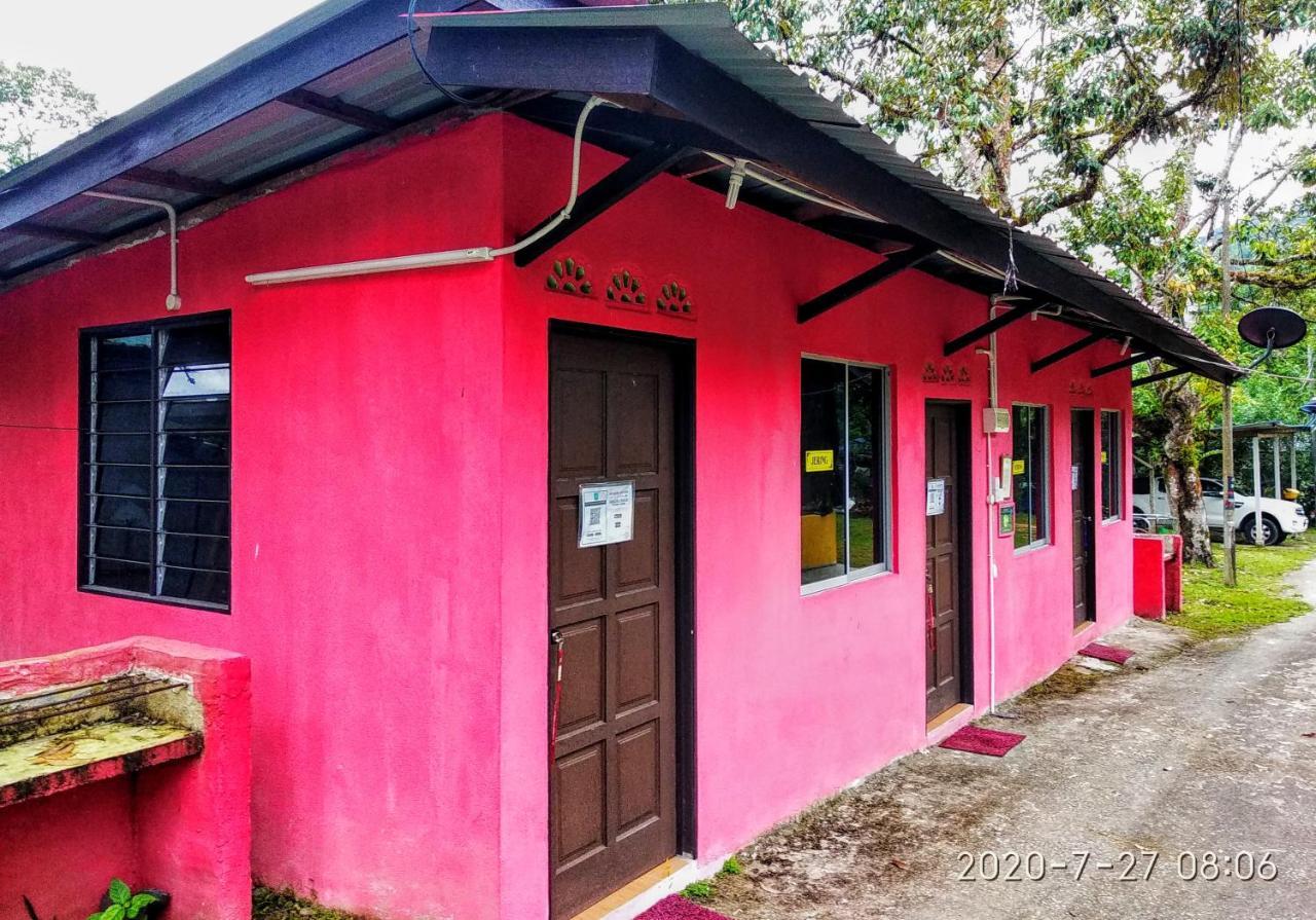 فيلا هولو لانجاتفي Lopoh Waterfront Budget Chalets المظهر الخارجي الصورة